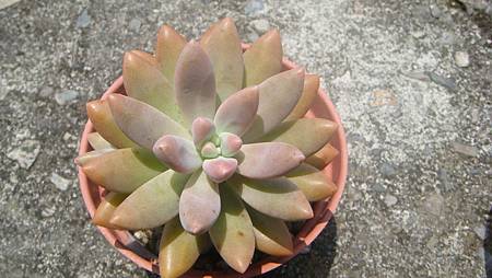 0725 (4).JPG 0725 (4).JPG