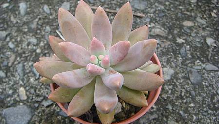 0903 (1).JPG 0903 (1).JPG