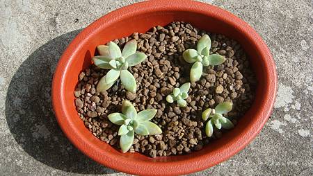 0114 (3).JPG 0114 (3).JPG