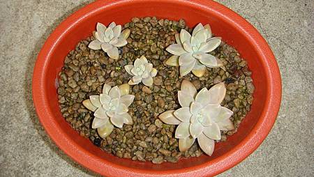 0309 (3).JPG 0309 (3).JPG