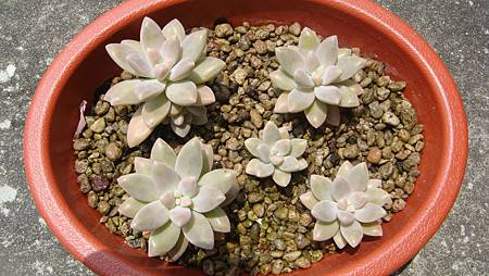 0421 (1).JPG 0421 (1).JPG