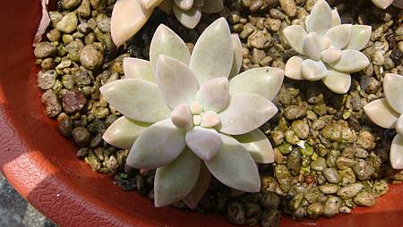 0421 (2).JPG 0421 (2).JPG