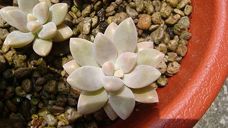 0421 (3).JPG 0421 (3).JPG