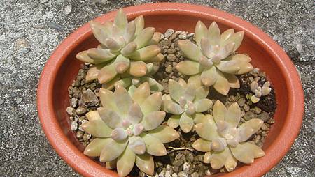 0725 (2).JPG 0725 (2).JPG