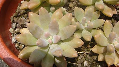 0725 (5).JPG 0725 (5).JPG