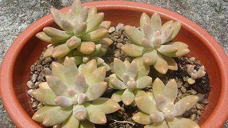 0725 (6).JPG 0725 (6).JPG