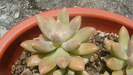 0725 (7).JPG 0725 (7).JPG