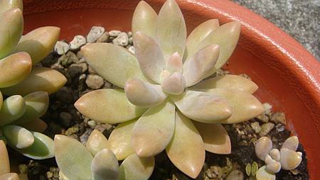 0725 (8).JPG 0725 (8).JPG