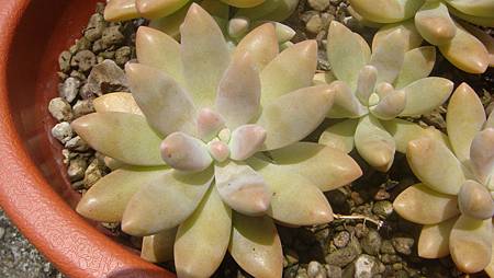 0725 (9).JPG 0725 (9).JPG