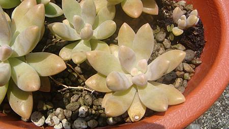 0725 (10).JPG 0725 (10).JPG