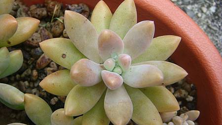 0903 (4).JPG 0903 (4).JPG