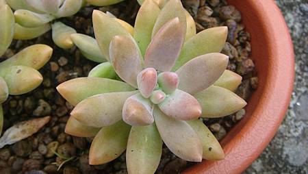 0903 (6).JPG 0903 (6).JPG