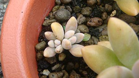 0903 (7).JPG 0903 (7).JPG