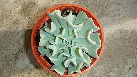 0204 (1).JPG 0204 (1).JPG