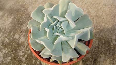 0319 (1).JPG 0319 (1).JPG