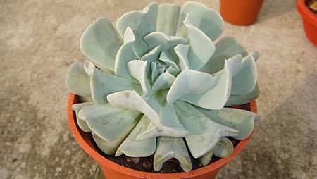 0319 (2).JPG 0319 (2).JPG