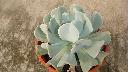 0319 (3).JPG 0319 (3).JPG