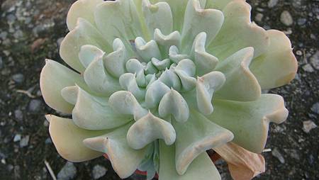 0918 (1).JPG 0918 (1).JPG