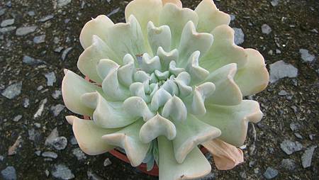 0918 (2).JPG 0918 (2).JPG