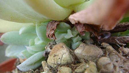 0918 (3).JPG 0918 (3).JPG