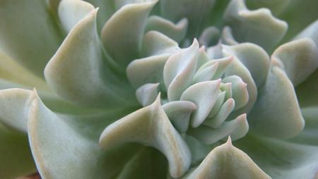 0806 (1).JPG 0806 (1).JPG