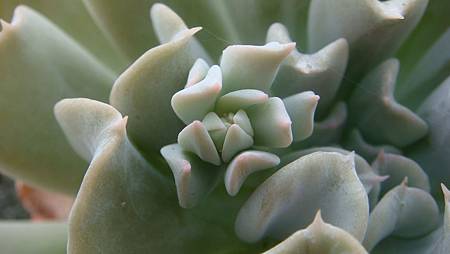 0806 (2).JPG 0806 (2).JPG