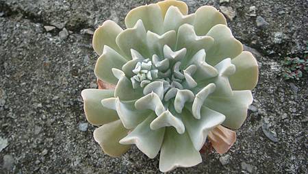 0806 (3).JPG 0806 (3).JPG