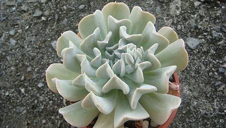 0806 (4).JPG 0806 (4).JPG