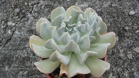 0814 (1).JPG 0814 (1).JPG