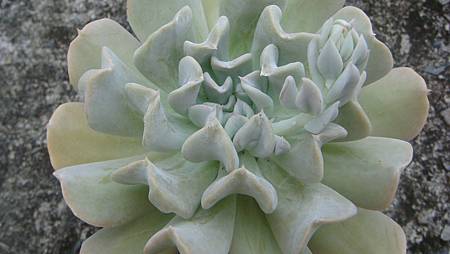 0814 (2).JPG 0814 (2).JPG