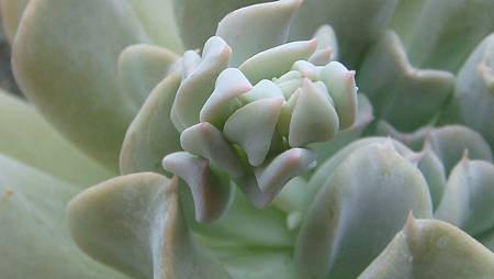 0814 (3).JPG 0814 (3).JPG