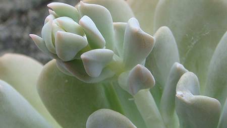 0814 (4).JPG 0814 (4).JPG