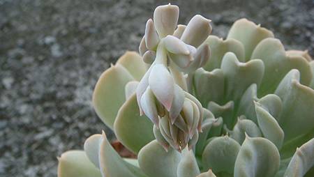 0821 (1).JPG 0821 (1).JPG