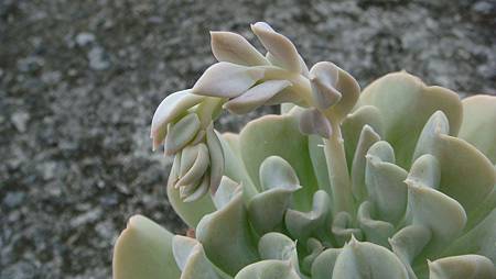 0821 (2).JPG 0821 (2).JPG