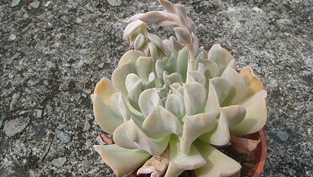 0827 (1).JPG 0827 (1).JPG