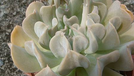 0827 (2).JPG 0827 (2).JPG