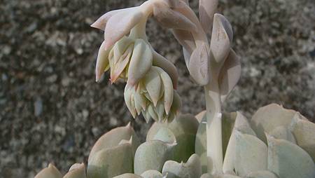 0827 (3).JPG 0827 (3).JPG