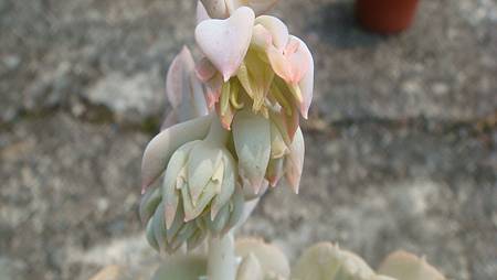 0831 (1).JPG 0831 (1).JPG