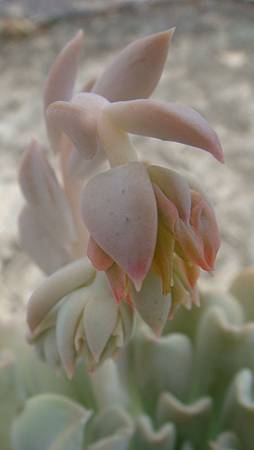 0831 (2).JPG 0831 (2).JPG