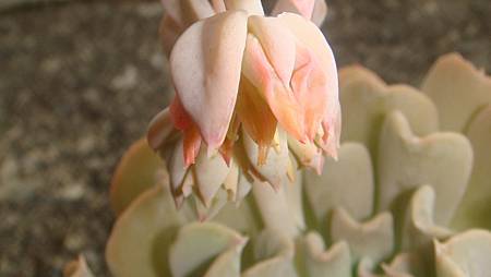 0901 (1).JPG 0901 (1).JPG