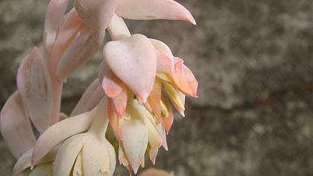 0901 (2).JPG 0901 (2).JPG