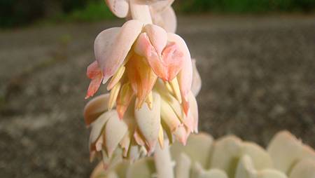 0903 (1).JPG 0903 (1).JPG