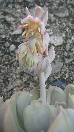 0903 (2).JPG 0903 (2).JPG