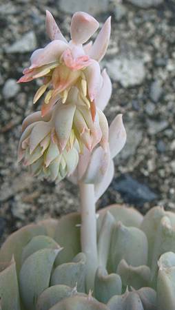 0903 (3).JPG 0903 (3).JPG