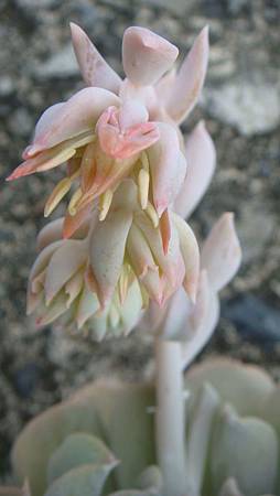 0903 (4).JPG 0903 (4).JPG