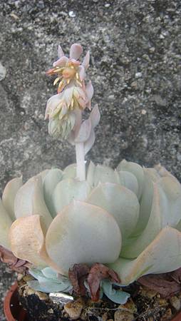 0903 (5).JPG 0903 (5).JPG