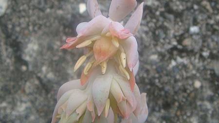 0903 (6).JPG 0903 (6).JPG