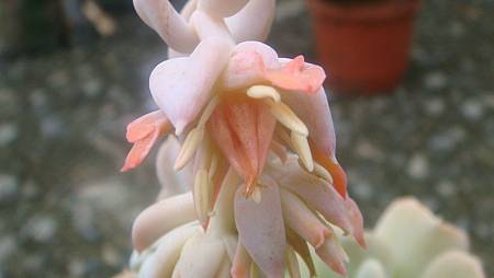 0906 (1).JPG 0906 (1).JPG