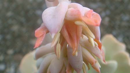 0906 (2).JPG 0906 (2).JPG