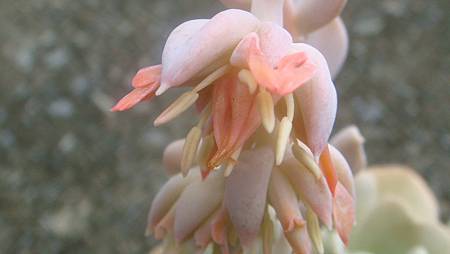 0906 (3).JPG 0906 (3).JPG